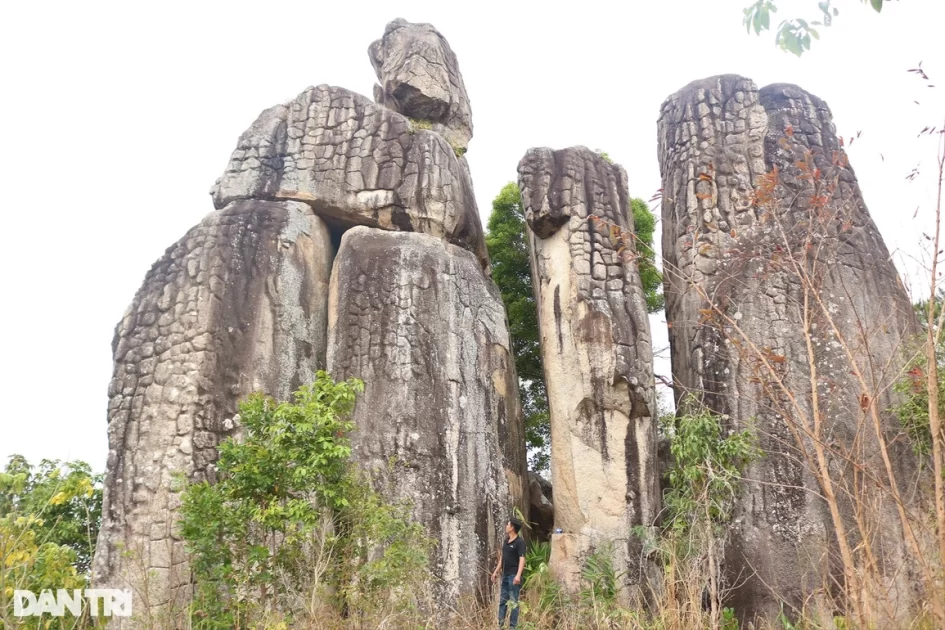 Trang sức hoa san hô