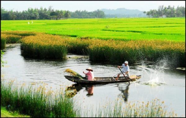 Hà Nhai vãn độ, Đệ Lục thắng cảnh Quảng Ngãi, du lịch Quảng Ngãi, Bình Châu, trang sức hoa san hô, ngắm biển hoàng hô